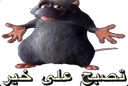 Allah_rat