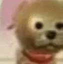 POGDOG