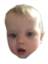 pogbaby