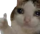 sadCat2