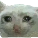 UDUsadcat Discord Emoji