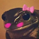 Frogblush frogblush Discord Emoji
