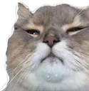 chonk chonk