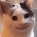 smilecat2