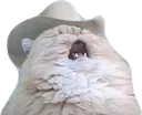 AAAAAA