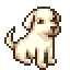 labrador_cream