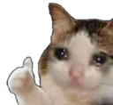 cry_cut