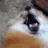 fluffylaugh