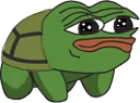 Pepe Turtle Discord Emoji