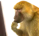 Monke_Coding