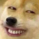 dogegrin
