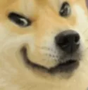 DogeEvilSmug DogeEvilSmug
