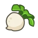 1turnip