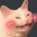 Cat_Blush