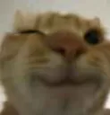 wink