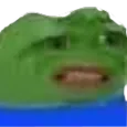Pepewtf PepeWtf Discord Emoji