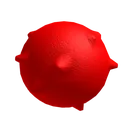 roka