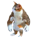 chatbaleze chatbaleze