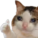 sadcat_thumbsup sadcat_thumbsup
