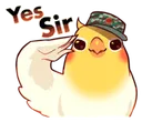 BxWBirbYesSirOwO