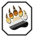 bearpaw