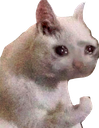 comefight Discord emoji