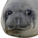 sadseal Discord emoji