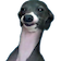 kermit Discord emoji