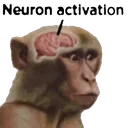 monkeyneurons monkeyneurons