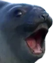 pogseal