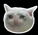 Sadmeow Discord Emoji
