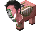 poglin