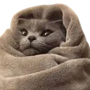 zCafeAnimal_ComfyCatto