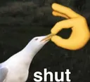 gooseshut