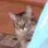 SCPEEK