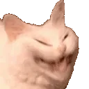 SCWhehehehehe