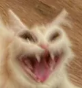 AKDJSKDJ