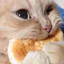 numnum