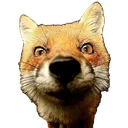 FoxNosey Discord Emoji