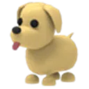 AMDog