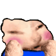 pepocathybrid