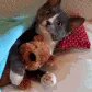 CE_Snugglez CE_Snugglez