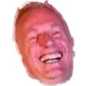 SwenLUL