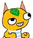 TangyDERP