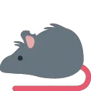 ratravewoo