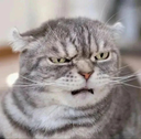 void Discord emoji