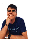 zt_roin Discord emoji