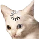 catWut