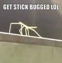 getstickbugged