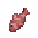 Nemo